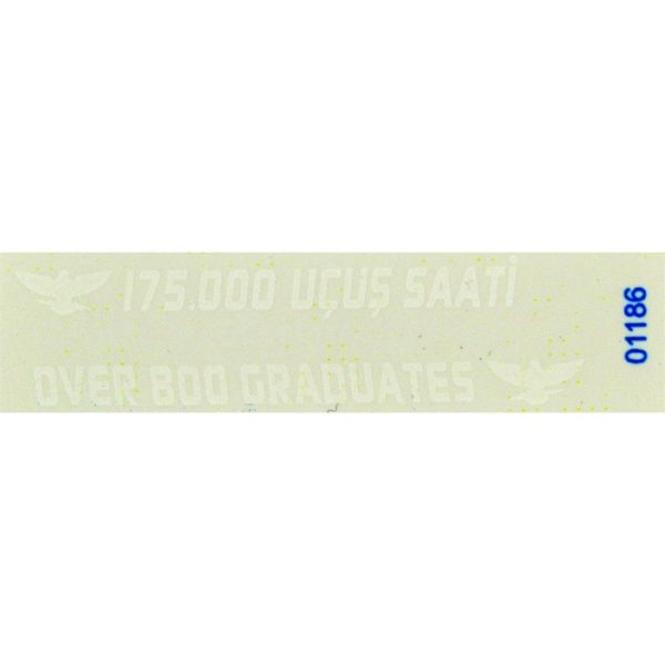 1/72 F-16 C Öncel Filo Özel Şema Kırmızı Dekal Seti, Babibi DBT01186 - Görsel 4