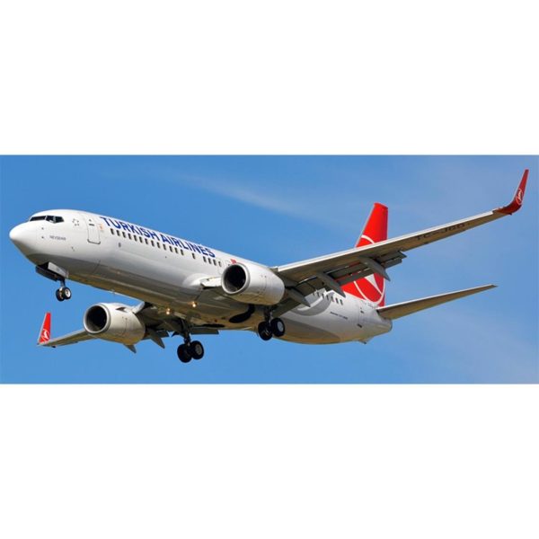 1/144 Thy Boeıng 737-800 Decal-Lale Ambleml-144243 - Görsel 3