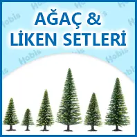 Ağaç ve Liken Setleri