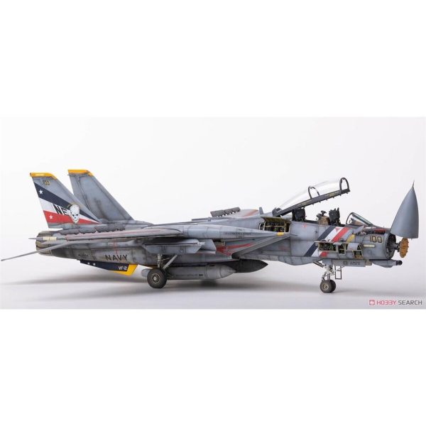 1/48 F-14D Super Tomcat (Special Edition-Sio Models) Savaş Uçağı Maketi, AMK Model 48003 - Görsel 2
