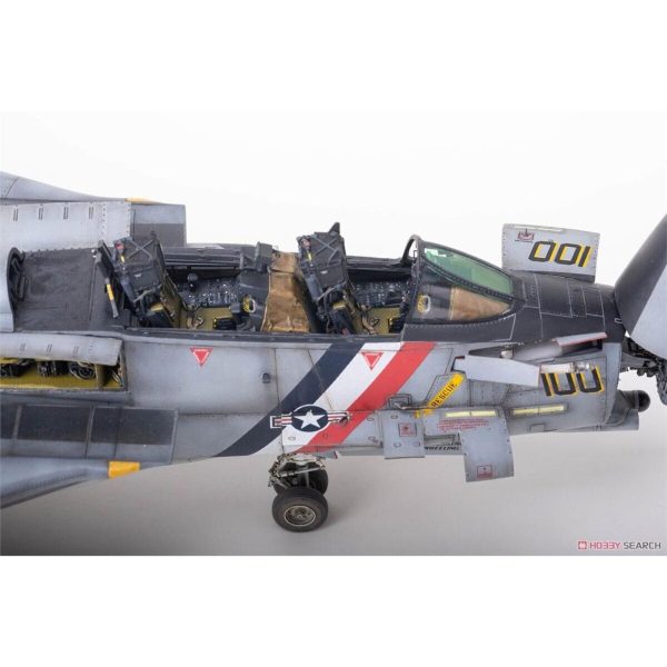 1/48 F-14D Super Tomcat (Special Edition-Sio Models) Savaş Uçağı Maketi, AMK Model 48003 - Görsel 3