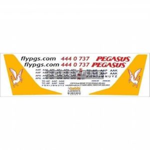 1/144 Pegasus Boeing 737-800 Dekal Çıkartma, Babibi DAT01003
