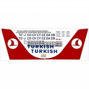 1/144 Thy Airbus A310 Şema-1 Dekal Çıkartma, Babibi DAT01023
