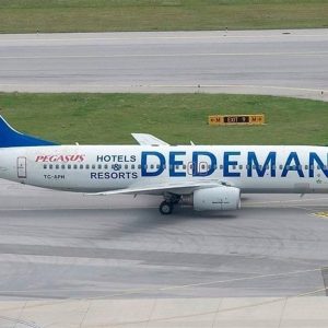 1/144 Pegasus Boeing 737-800 Dedeman Dekal Çıkartma, Babibi DAT01045