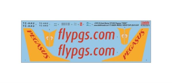1/144 Pegasus Boeing 737-800 Duru Dekal Çıkartma, Babibi DAT01119