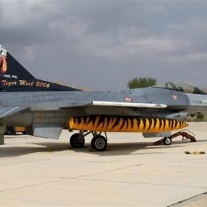 1/48 F-16 C Tigermeet 2006 Dekal Çıkartma, Babibi DBT01014