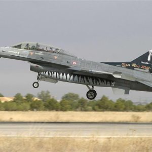 1/48 F-16 D Tigermeet 2006 Dekal Çıkartma, Babibi DBT01015