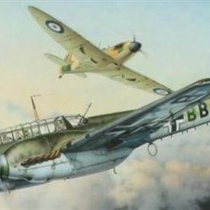 1/48 Bf 110C Uçak Maketi, Eduard 8201