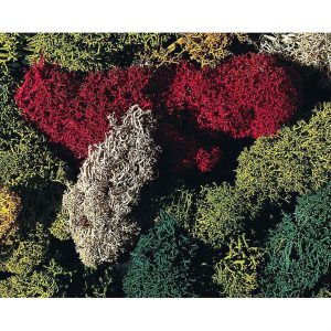 Liken 5 Farklı Renkte 80 Gram, Faller 170730