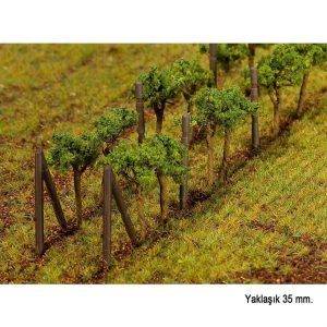 Üzüm Asmaları, Faller 181254