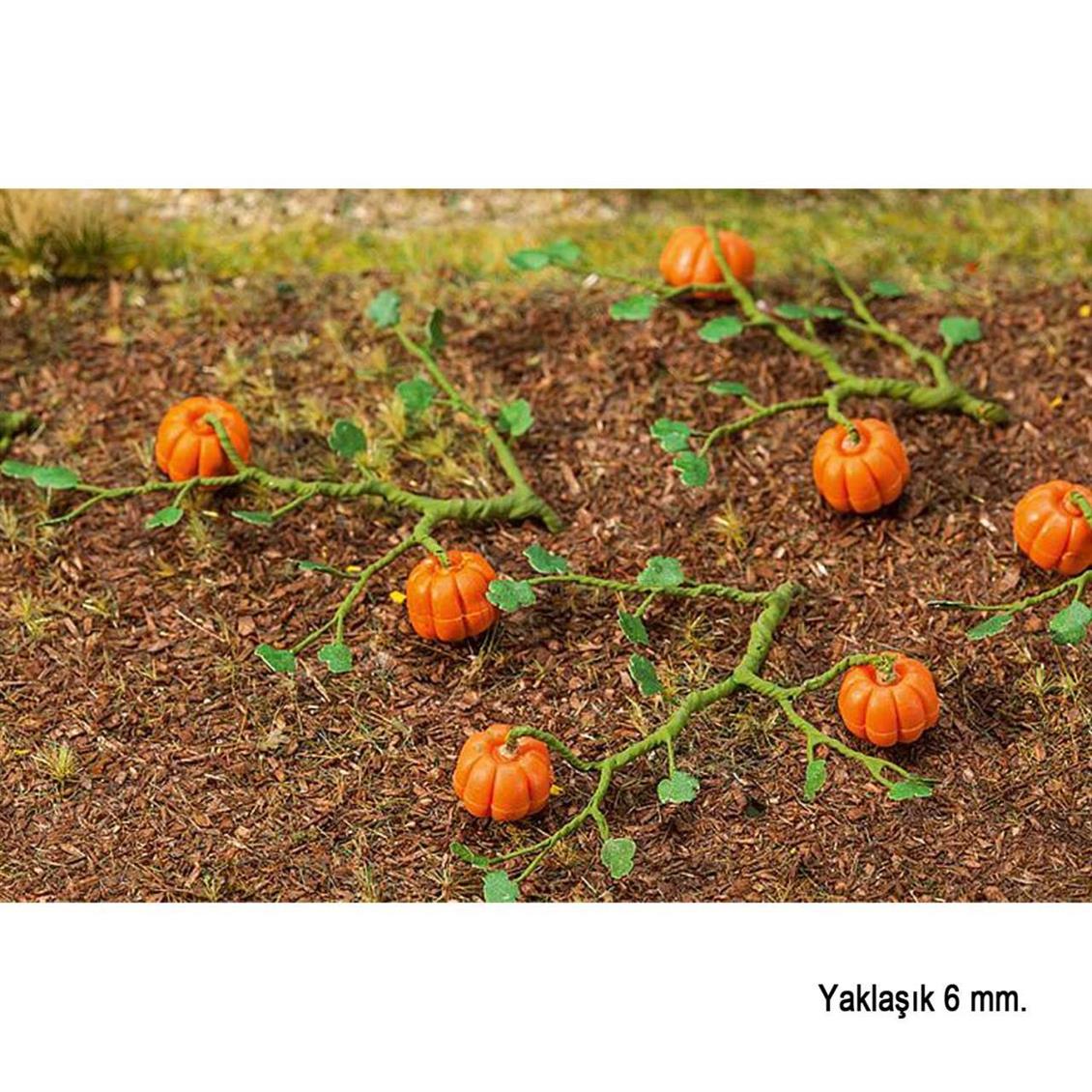 Bal Kabakları ( 6 Adet ), Faller 181258