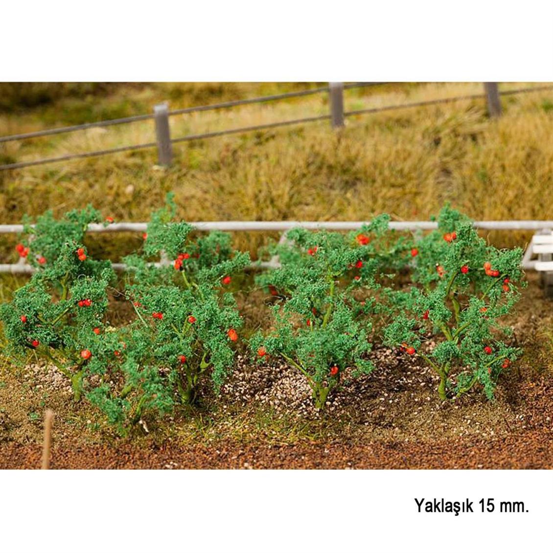 Domates Fideleri ( 18 Adet ), Faller 181259