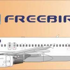 1/144 Freebird Decal-New Scheme Orange Tail, Nazca Decals Frb003