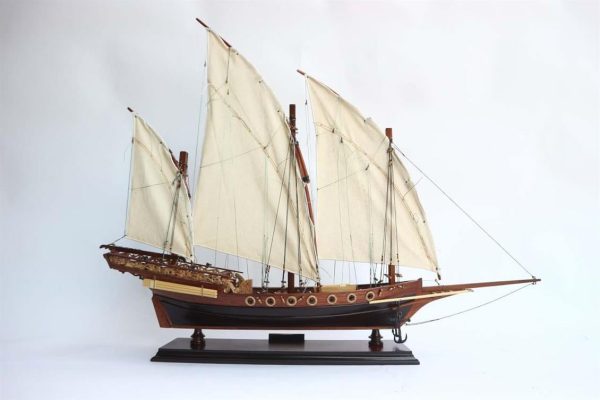 Xebec Osmanlı Donanması Ahşap Hazır Yelkenli Savaş Gemisi Maketi, Gianhien Fb0019W60 - Görsel 4