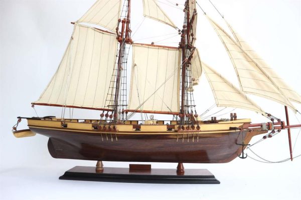 Harvey Ahşap Hazır Yelkenli Gemi Maketi, Gianhien Ts0026W - Görsel 4