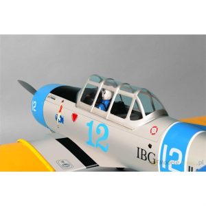 Canopy At6 Texan 40-46, Phoenix H0487