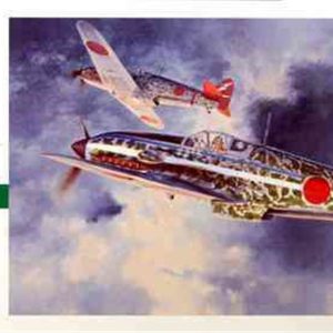 1/48 Kawasaki Ki61-I Hei Hien (Tony) Savaş Uçağı Maketi, Hasegawa 09087