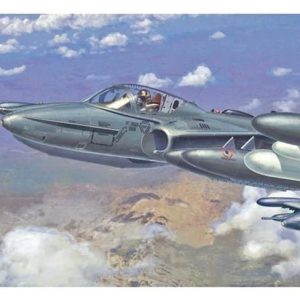 1/72 A-37 A/B Dragonfly Savaş Uçağı Maketi, Hasegawa 00142