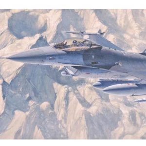 1/72 F-16CJ (Block 50) Fighting Falcon Savaş Uçağı Maketi, Hasegawa 00448