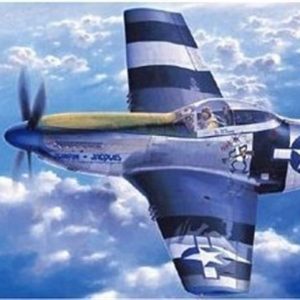 1/72 P-51D Mustang Savaş Uçağı Maketi, Hasegawa 01455