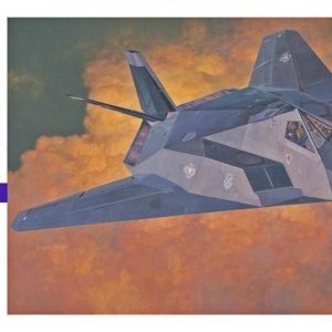 1/72 F-117A Nighthawk Savaş Uçağı Maketi, Hasegawa 00531