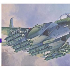 1/72 F-15E Strike Eagle Savaş Uçağı Maketi, Hasegawa 00540