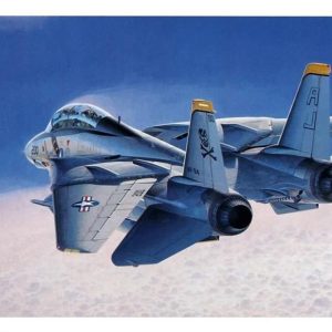 1/72 F-14A Tomcat (Atlantic F.S.) Savaş Uçağı Maketi, Hasegawa 00544