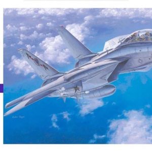 1/72 F-14A Tomcat (Low Visibility) Savaş Uçağı Maketi, Hasegawa 00532