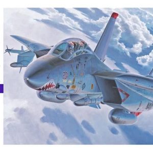 1/72 F-14A Tomcat (High Visibility) Savaş Uçağı Maketi, Hasegawa 00533