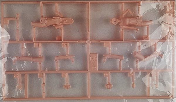 1/24 Refakatçi Kızlar Maketi, Hasegawa 29105 - Görsel 2