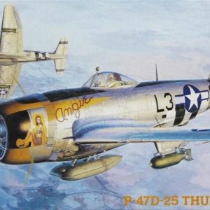 1/48 P-47D-25 Thunderbolt Savaş Uçağı Maketi, Hasegawa 09140