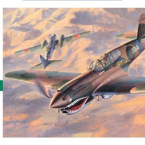 1/48 P-40E Warhawk Savaş Uçağı Maketi, Hasegawa 09086