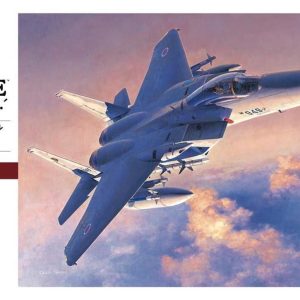 1/48 F-15J/DJ Eagle JASDF Savaş Uçağı Maketi, Hasegawa 07251