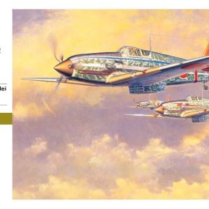 1/32 Kawasaki Ki61-I Hei Hien (Tony) Savaş Uçağı Maketi, Hasegawa 08078