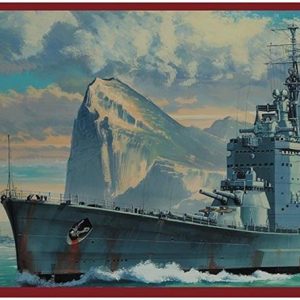 1/450 HMS Vanguard Kraliyet Donanması Savaş Gemisi Maketi, Hasegawa 40115