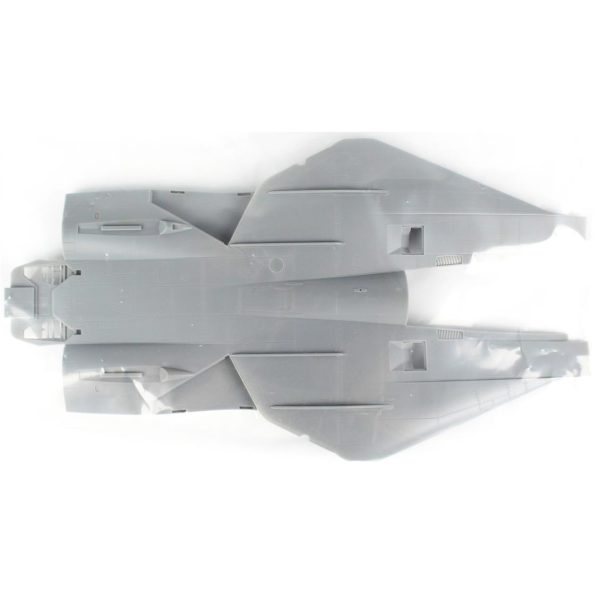 1/48 F-14A Tomcat, İriaf (Persian Cat) Maketi, HobbyBoss 81771 - Görsel 2