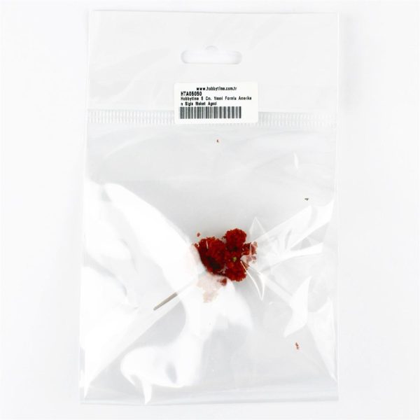 5 Cm. Yassı Formlu Amerikan Sığla Maket Ağacı, Hobbytime - Görsel 2