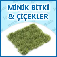 Minik Bitki Ve Çiçekler