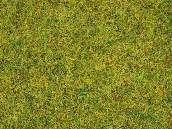 Serpme Çim Yaz Çayırı 2.5 mm. 100 Gram Diorama Malzemesi, Noch 50190