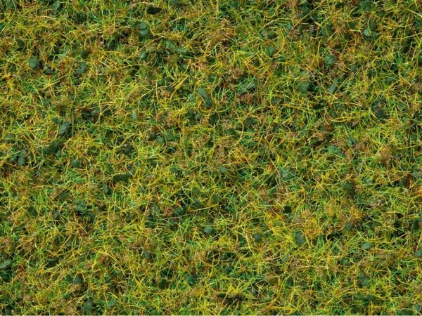 Statik Çim Mera Çayırları Karışımı 2.5-6.0 mm. 50 Gram Diorama Malzemesi, Noch 7073
