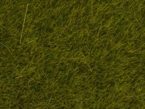 Yabani Otlar Çayır Yeşili 6 mm 100 Gram Diorama Malzemesi, Noch 7090
