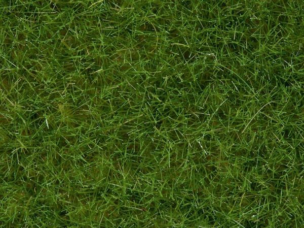 Yabani Otlar Açık Yeşil 6 mm 100 Gram Diorama Malzemesi, Noch 7092