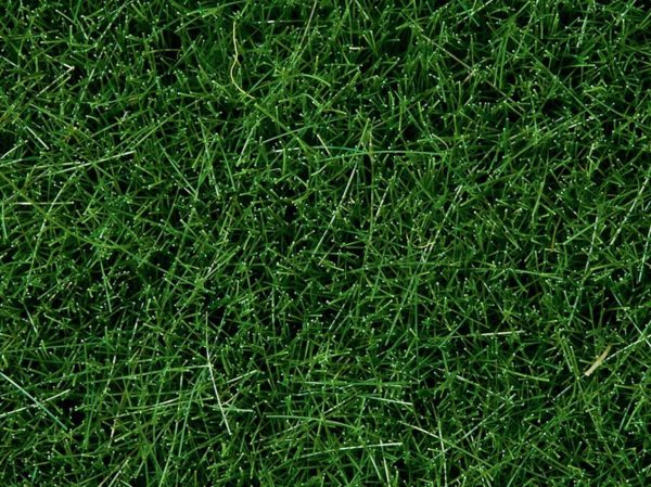 Yabani Otlar Koyu Yeşil 6 mm 50 Gram Diorama Malzemesi, Noch 7106