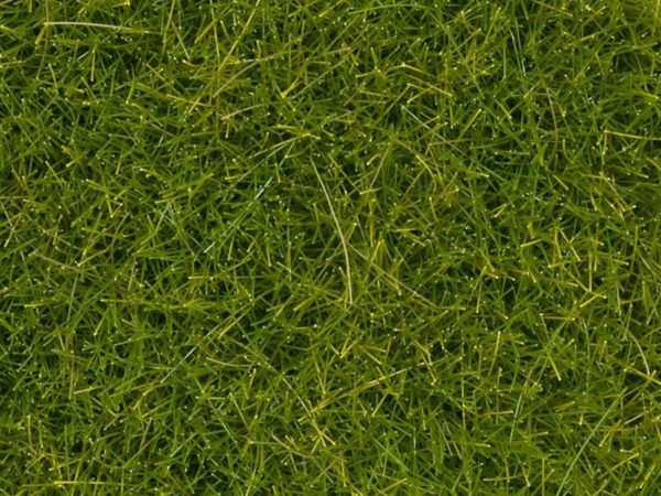 Yabani Otlar Açık Yeşil 12 mm 40 Gram Diorama Malzemesi, Noch 7112