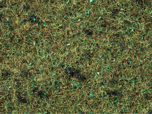 Serpme Çim Orman Zemini 2.5 mm 120 Gram Diorama Malzemesi, Noch 8157