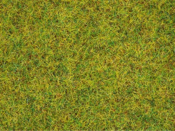 Serpme Çim Yaz Çayırı 2.5 mm 20 Gram Diorama Malzemesi, Noch 8310