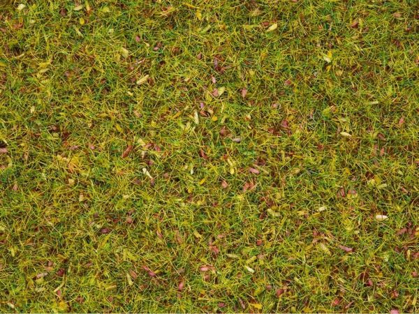 Serpme Çim Çiçekli 2.5 mm 20 Gram Diorama Malzemesi, Noch 8330