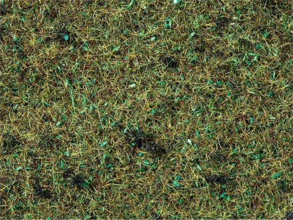 Serpme Çim Orman Zemini 2.5 mm 20 Gram Diorama Malzemesi, Noch 8350