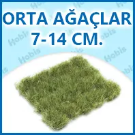 Orta Ağaçlar 7-14 Cm.