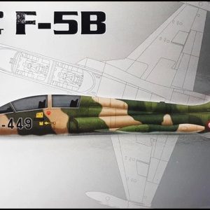 1/72 F-5B Eğitim Uçağı Maketi, PM Model0204